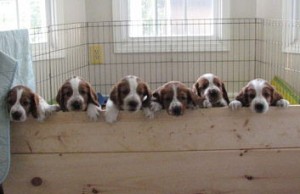 Alex (far left) and his six brothers